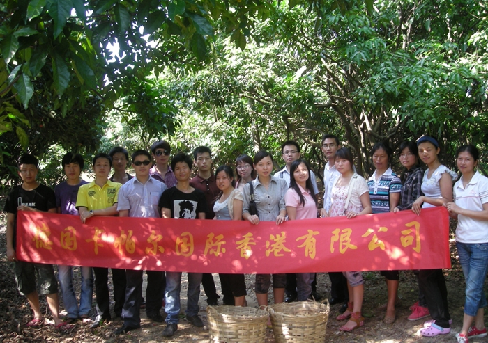 員工風(fēng)采